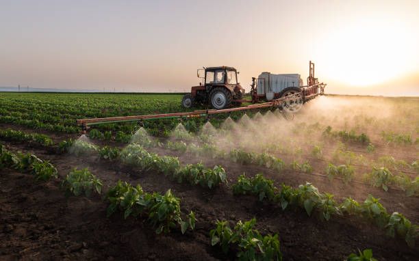 Reliable Woodward, IA Pest Control Solutions