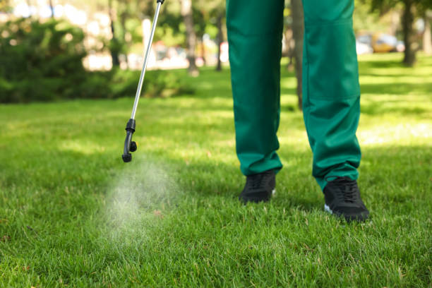 Best Cockroach Control Services  in Woodward, IA