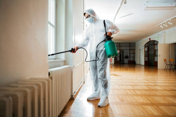 Best Pest Inspection Near Me  in Woodward, IA