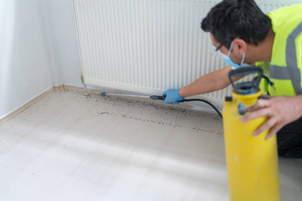 Best Affordable Pest Control Services  in Woodward, IA
